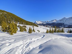 Preview wallpaper trees, mountains, snow, winter, landscape, nature