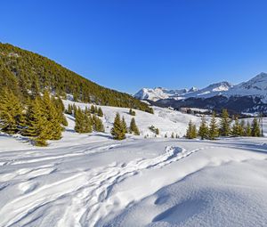 Preview wallpaper trees, mountains, snow, winter, landscape, nature