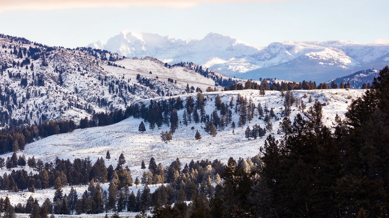 Wallpaper trees, mountains, snow, winter, nature, landscape