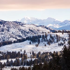 Preview wallpaper trees, mountains, snow, winter, nature, landscape
