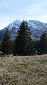 Preview wallpaper trees, mountains, snow, grass, nature