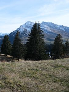 Preview wallpaper trees, mountains, snow, grass, nature
