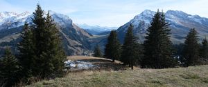 Preview wallpaper trees, mountains, snow, grass, nature