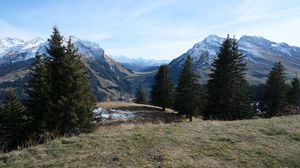Preview wallpaper trees, mountains, snow, grass, nature