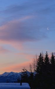 Preview wallpaper trees, mountains, snow, sky, moon