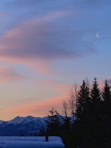 Preview wallpaper trees, mountains, snow, sky, moon