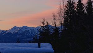 Preview wallpaper trees, mountains, snow, sky, moon