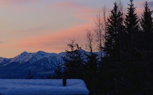 Preview wallpaper trees, mountains, snow, sky, moon