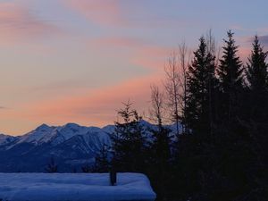 Preview wallpaper trees, mountains, snow, sky, moon