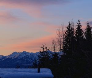 Preview wallpaper trees, mountains, snow, sky, moon