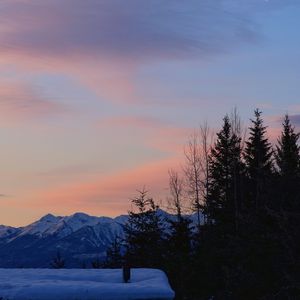 Preview wallpaper trees, mountains, snow, sky, moon