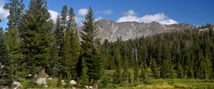 Preview wallpaper trees, mountains, valley, grass, landscape, nature