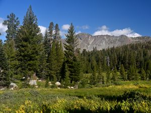 Preview wallpaper trees, mountains, valley, grass, landscape, nature