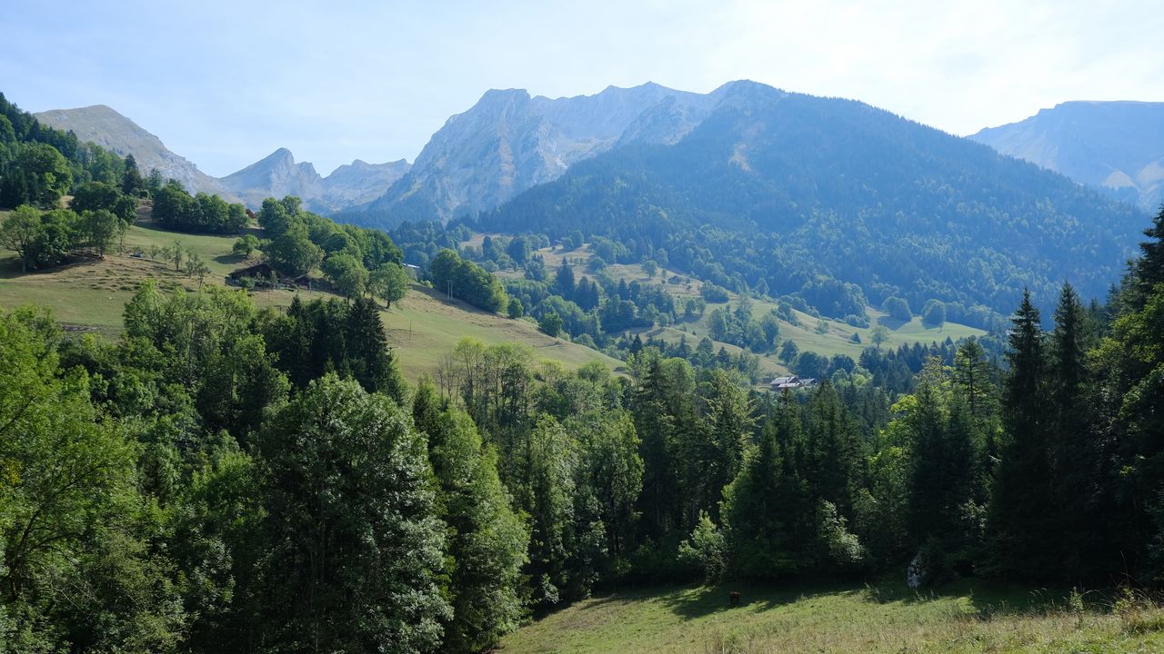 Wallpaper trees, mountains, valley, landscape, nature