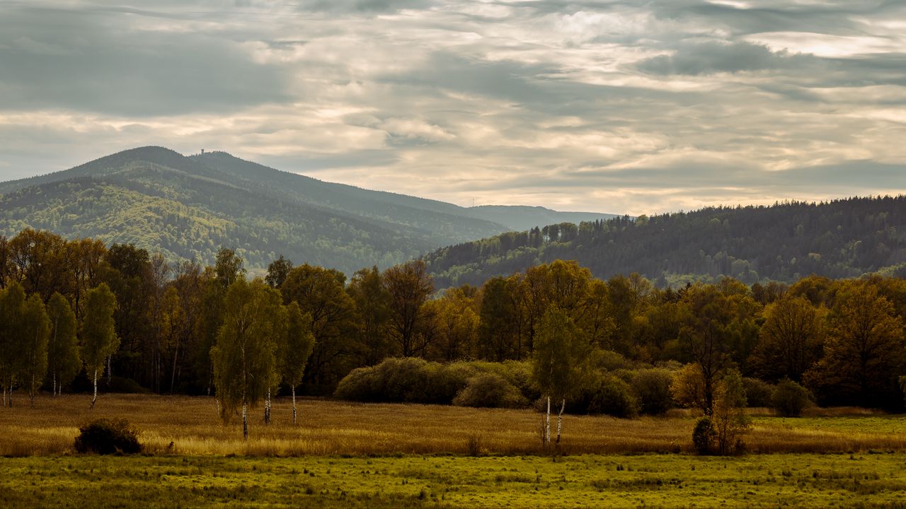 Wallpaper trees, mountains, valley, nature, landscape