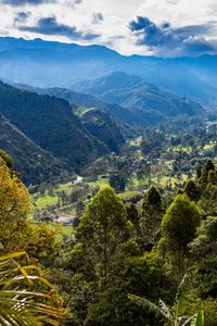 Preview wallpaper trees, mountains, valley, landscape