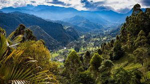 Preview wallpaper trees, mountains, valley, landscape