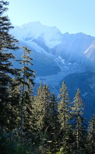 Preview wallpaper trees, mountains, view, landscape