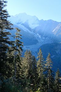 Preview wallpaper trees, mountains, view, landscape