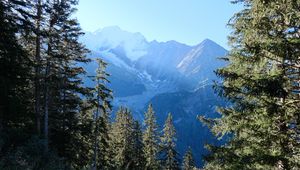 Preview wallpaper trees, mountains, view, landscape