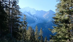 Preview wallpaper trees, mountains, view, landscape