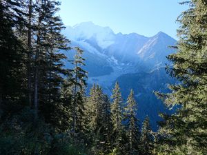 Preview wallpaper trees, mountains, view, landscape