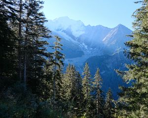 Preview wallpaper trees, mountains, view, landscape