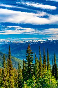 Preview wallpaper trees, mountains, view, landscape, clouds