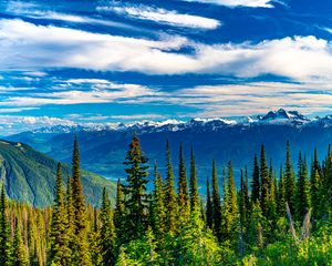 Preview wallpaper trees, mountains, view, landscape, clouds