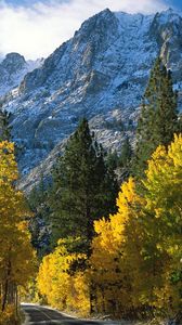 Preview wallpaper trees, mountains, view from above, fall