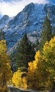 Preview wallpaper trees, mountains, view from above, fall