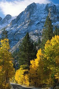 Preview wallpaper trees, mountains, view from above, fall