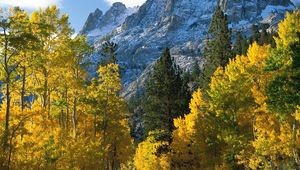 Preview wallpaper trees, mountains, view from above, fall