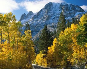 Preview wallpaper trees, mountains, view from above, fall