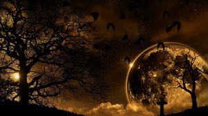 Preview wallpaper trees, nature, night, planet, birds, landscape