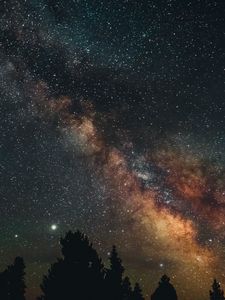 Preview wallpaper trees, nebula, starry sky, stars, night