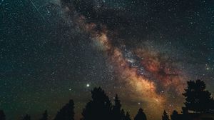 Preview wallpaper trees, nebula, starry sky, stars, night