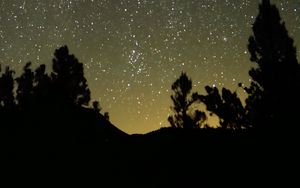 Preview wallpaper trees, nebula, starry sky, stars, night, silhouette
