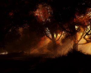 Preview wallpaper trees, night, autumn