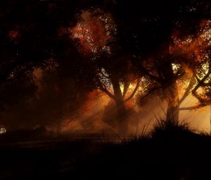 Preview wallpaper trees, night, autumn
