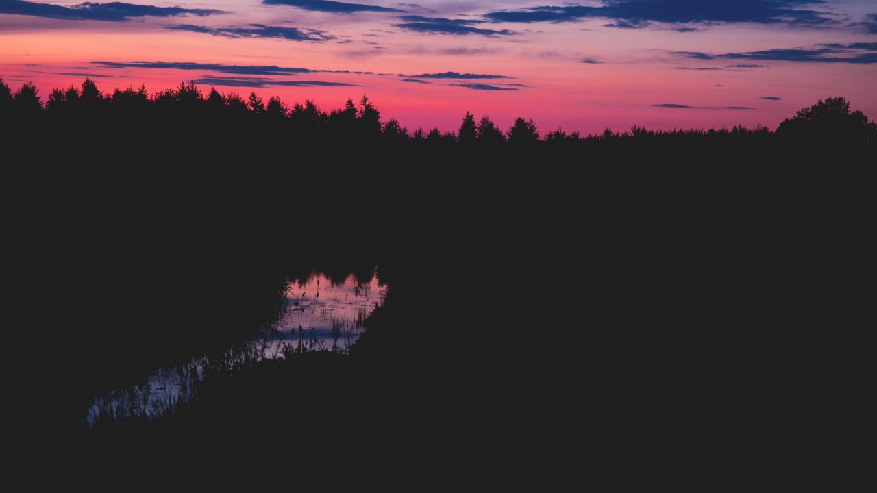 Wallpaper trees, night, horizon, water, grass