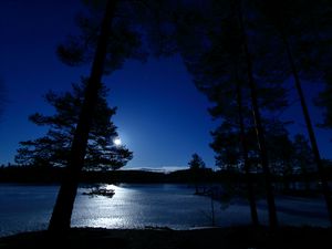 Preview wallpaper trees, night, lake, distance, sky, norway