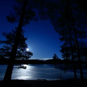 Preview wallpaper trees, night, lake, distance, sky, norway