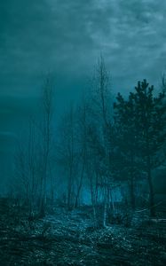 Preview wallpaper trees, night, moonlight, twilight, haze