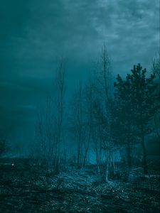 Preview wallpaper trees, night, moonlight, twilight, haze