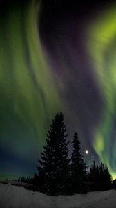 Preview wallpaper trees, night, northern lights, winter