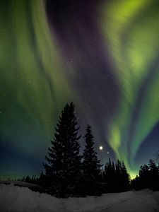 Preview wallpaper trees, night, northern lights, winter