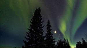 Preview wallpaper trees, night, northern lights, winter