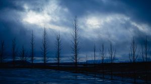 Preview wallpaper trees, night, sky, branches