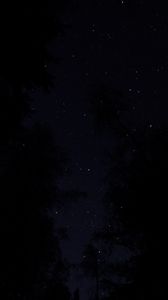 Preview wallpaper trees, night, sky, starry sky, dark